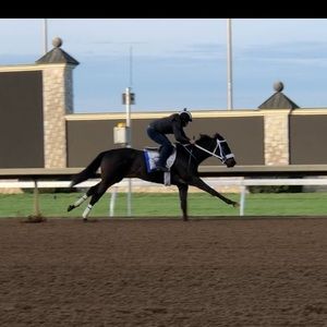 Meet your Posher, Hayley